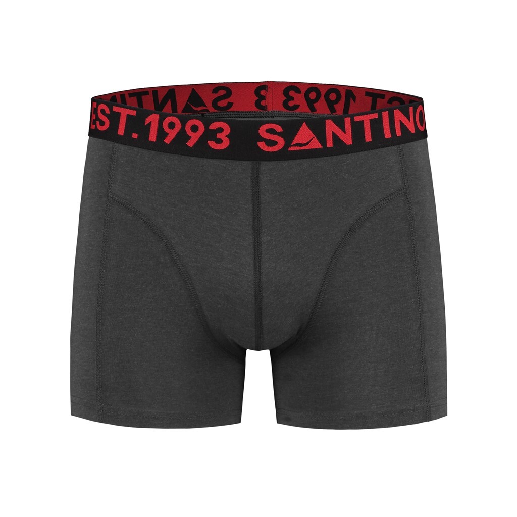 Santino Boxershort Boxer II - Graphite L - Eco-Line